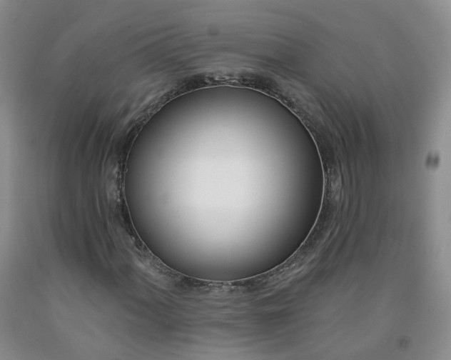 X0000091991060200709201443