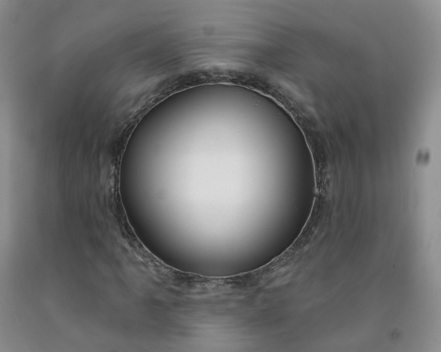 X0000091991061200709201443