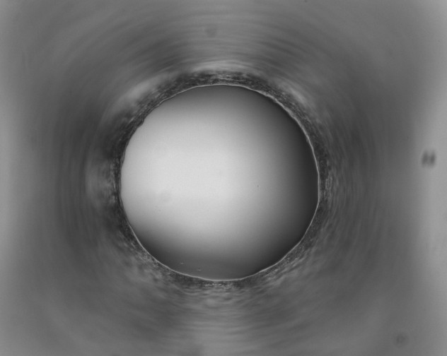 X0000091991062200709201443