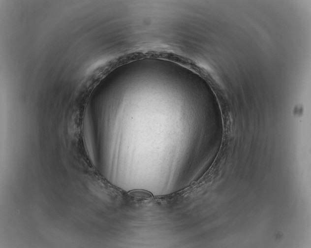 X0000091991063200709201443