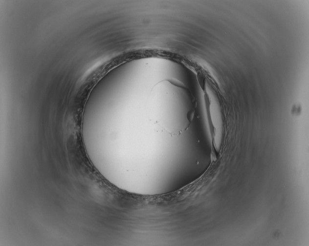 X0000091991064200709201443