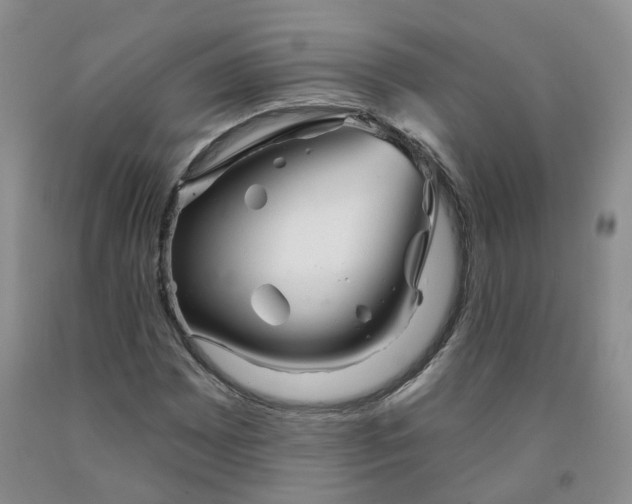 X0000091991065200709201443