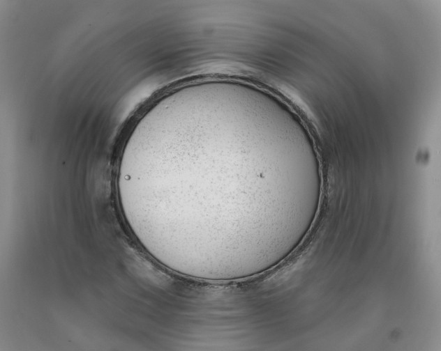 X0000091991067200709201443