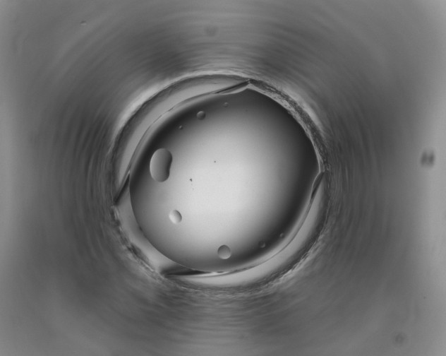 X0000091991069200709201443