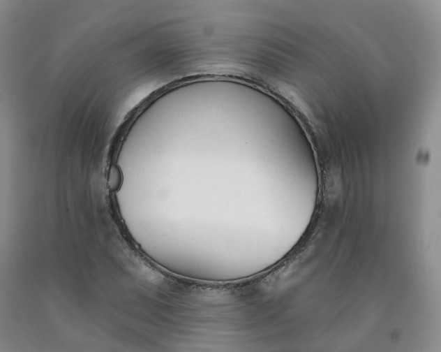 X0000091991071200709201443