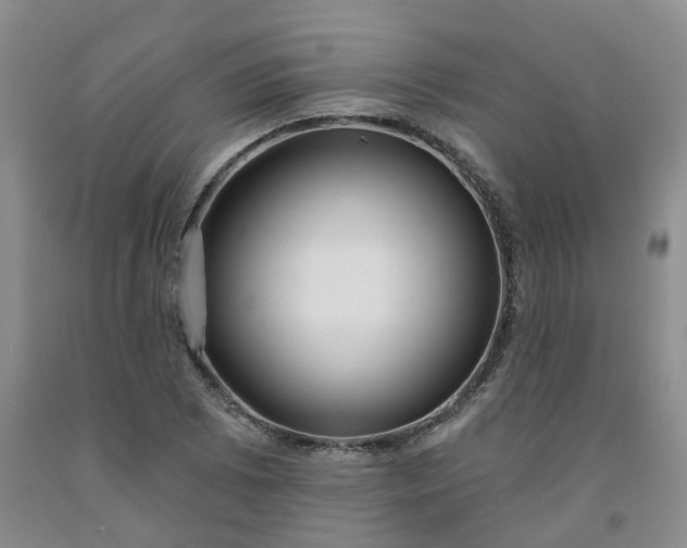 X0000091991073200709201443