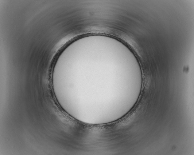 X0000091991074200709201443