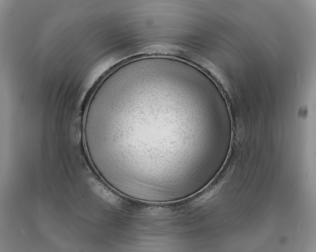 X0000091991075200709201443
