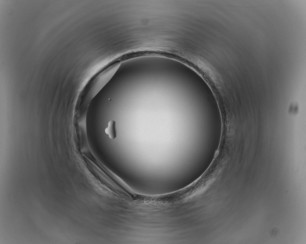 X0000091991077200709201443