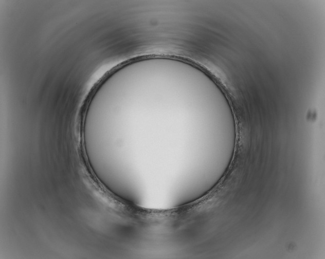 X0000091991078200709201443