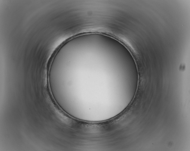 X0000091991079200709201443