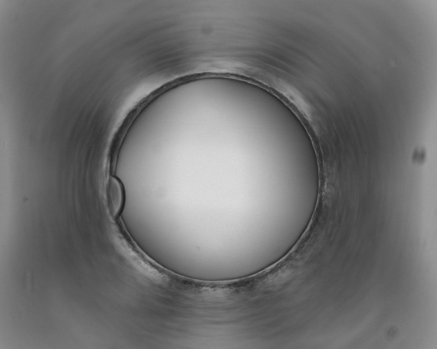 X0000091991080200709201443
