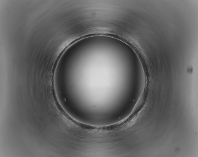 X0000091991081200709201443
