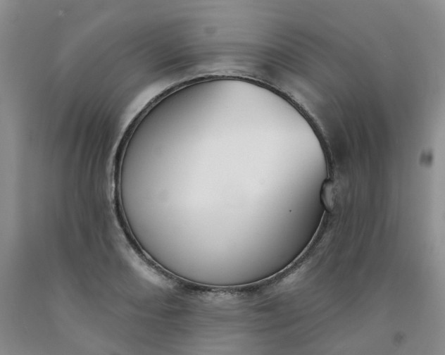 X0000091991082200709201443