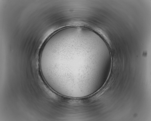 X0000091991083200709201443
