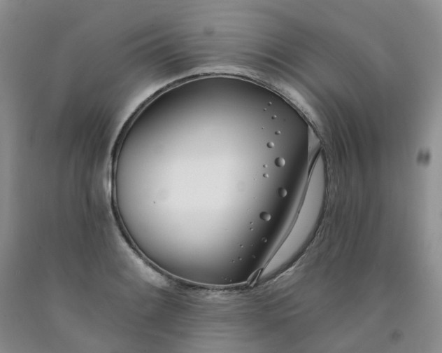 X0000091991084200709201443