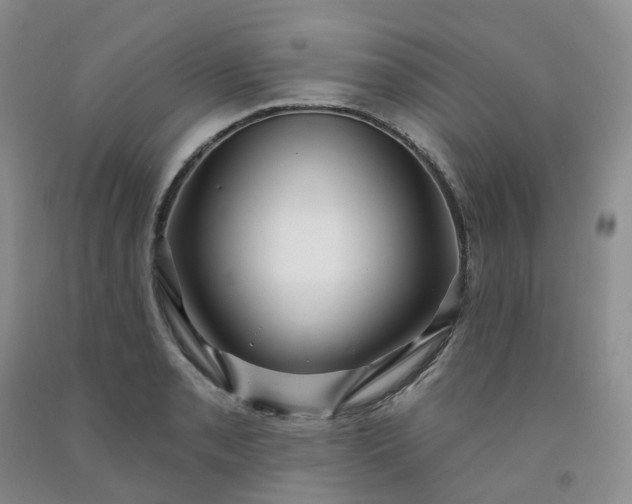 X0000091991085200709201443