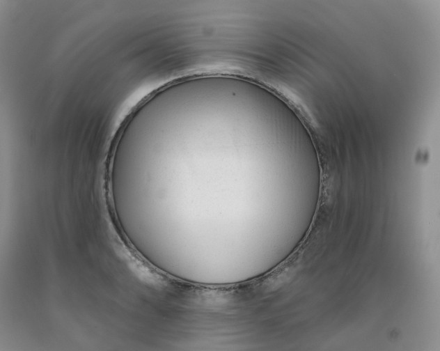 X0000091991086200709201442