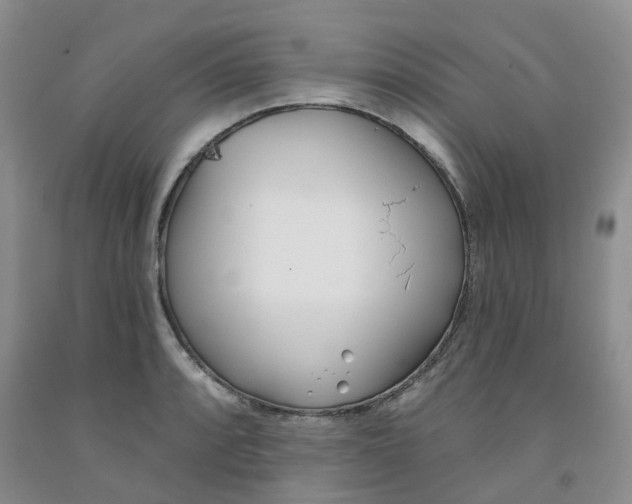 X0000091991088200709201442