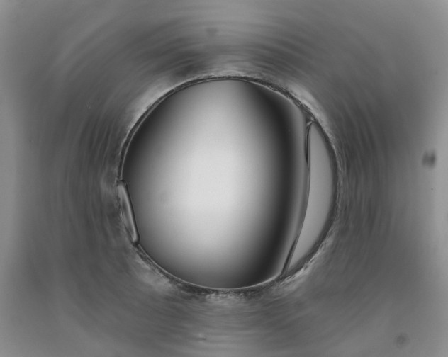 X0000091991089200709201442