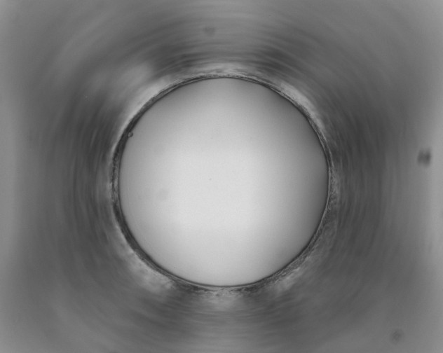 X0000091991090200709201442