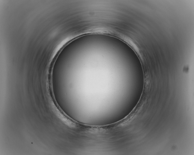X0000091991091200709201442