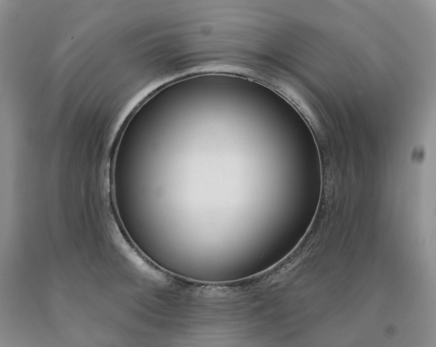X0000091991092200709201442