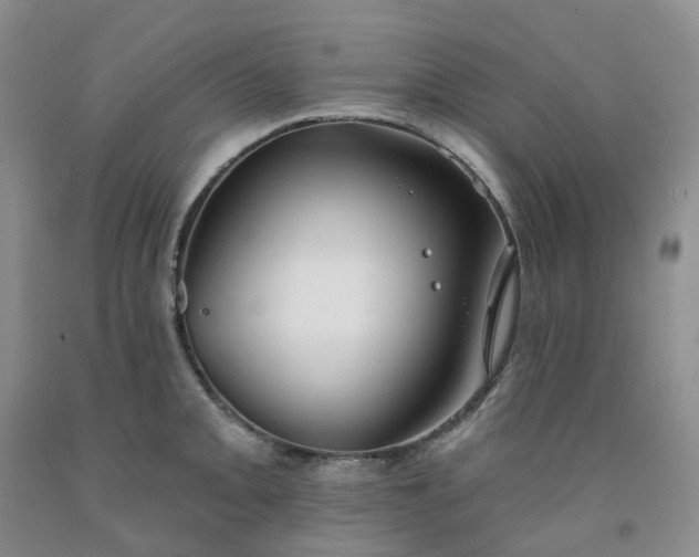 X0000091991093200709201442
