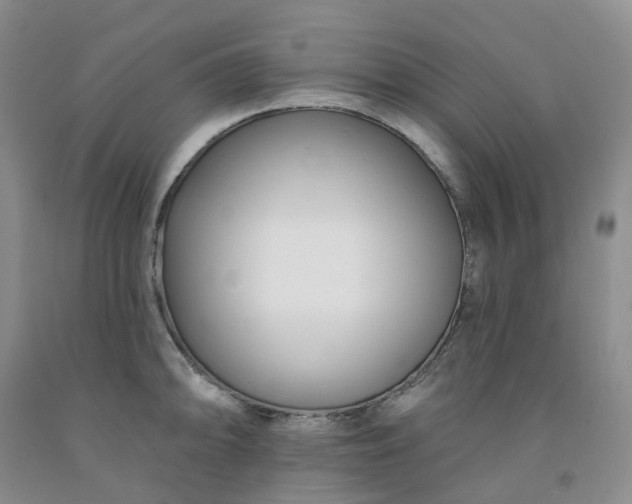 X0000091991094200709201442