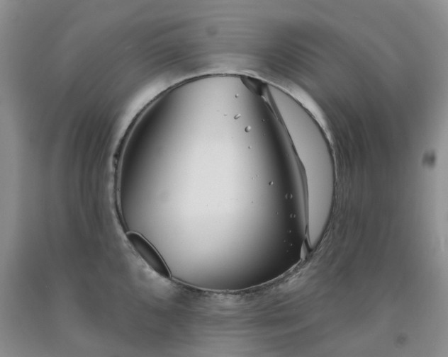 X0000091991096200709201442