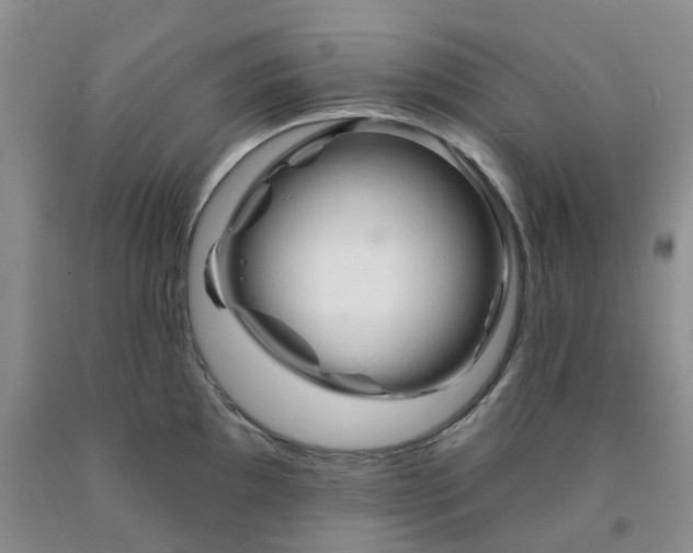 X0000091991097200709201442