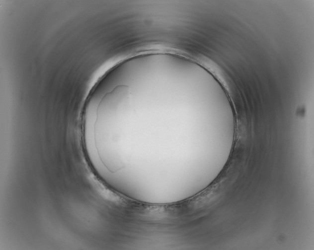 X0000091991098200709201442