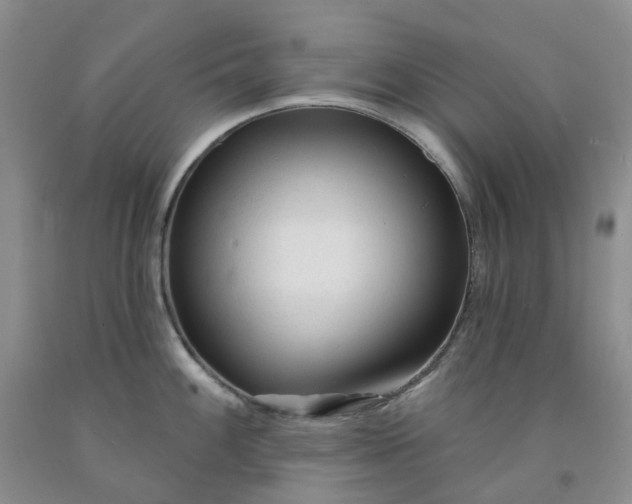 X0000091991100200709201442
