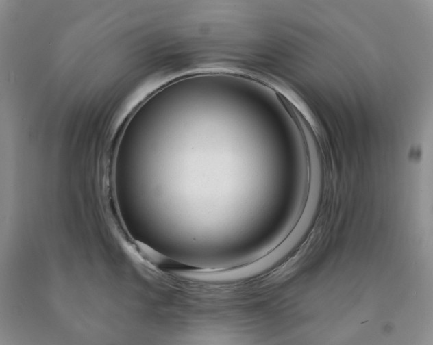X0000091991101200709201442