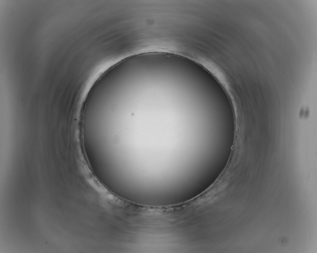 X0000091991104200709201442
