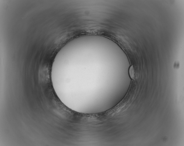 X0000091991106200709201442