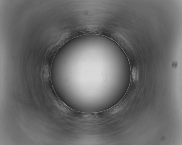 X0000091991107200709201442