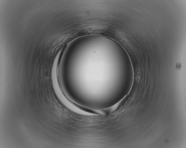 X0000091991108200709201442