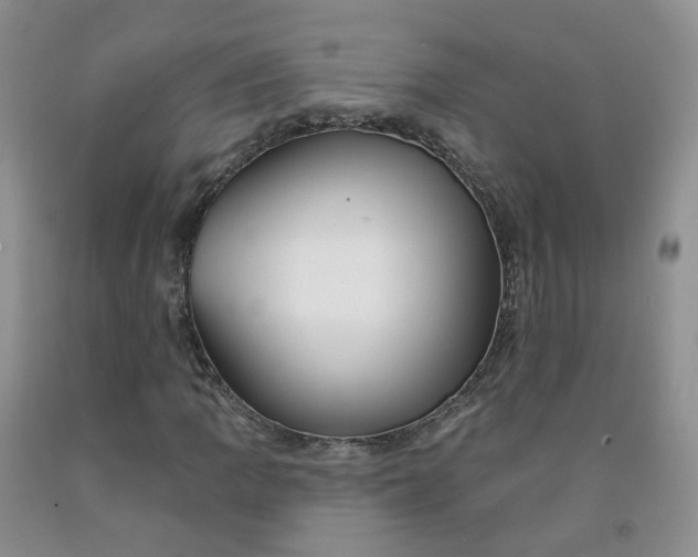 X0000091991109200709201442