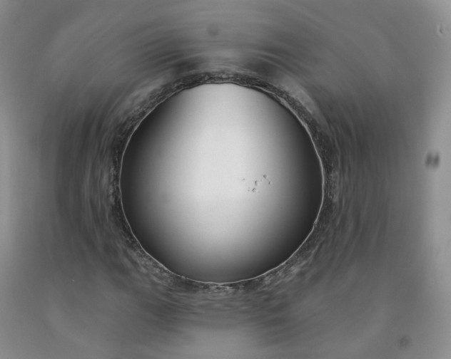 X0000091991111200709201442