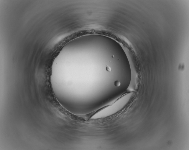 X0000091991112200709201442