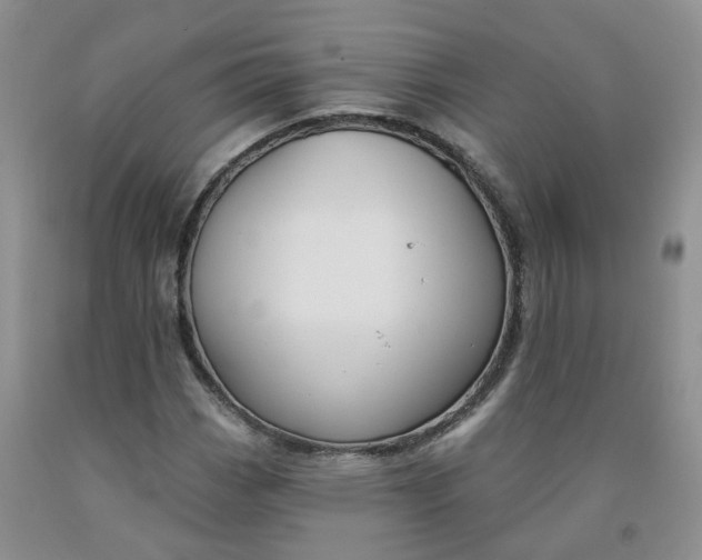X0000091991113200709201442