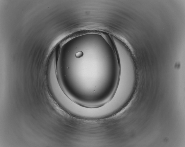 X0000091991114200709201442