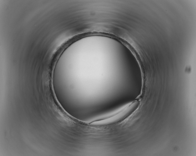 X0000091991115200709201442