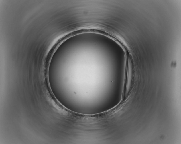 X0000091991116200709201442