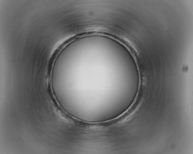 X0000091991117200709201442