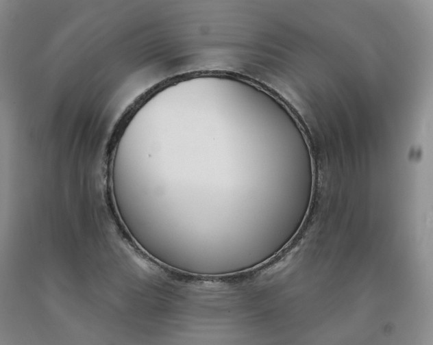 X0000091991119200709201442