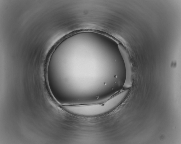 X0000091991120200709201442