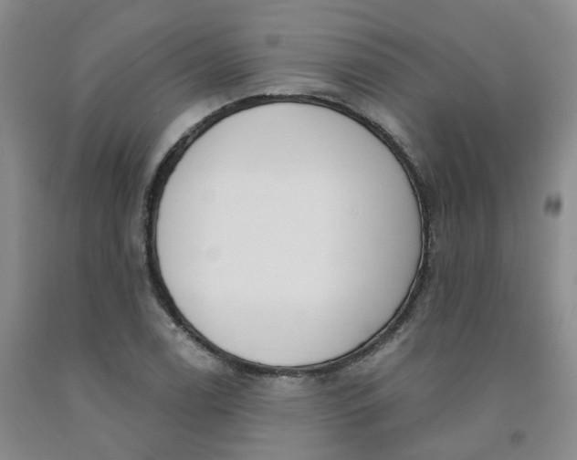 X0000091991122200709201442