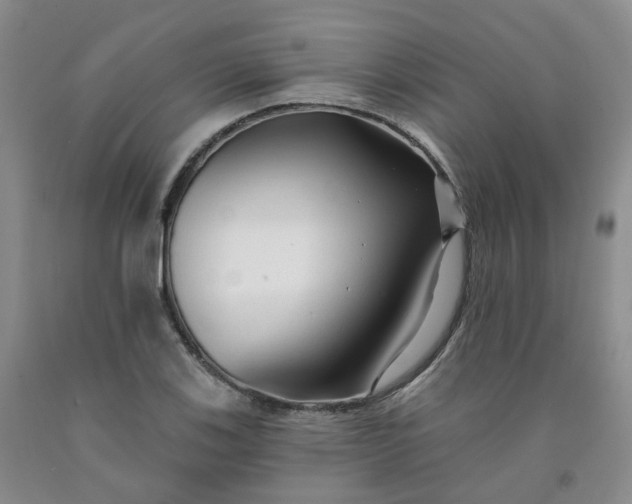 X0000091991123200709201442